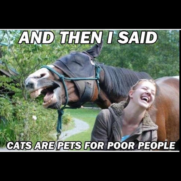 Meet your Posher, Emma - Picture 2 of 4